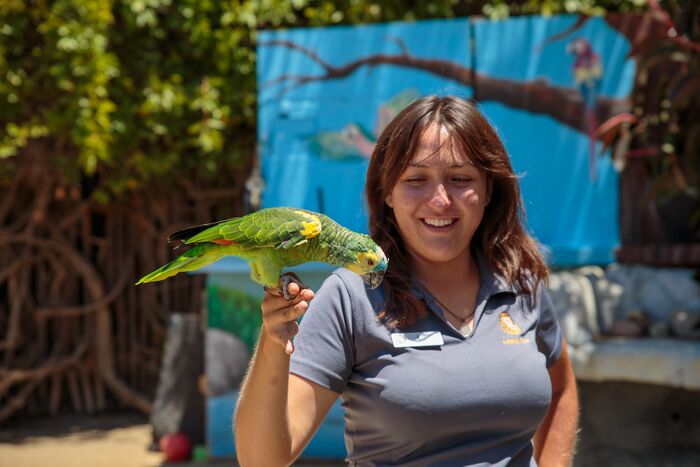 Smiling zookeeper with a green parrot perched on her hand