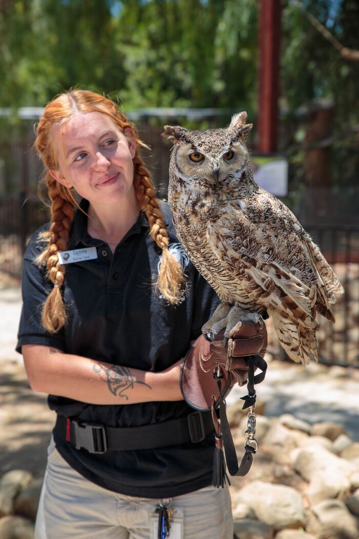 Smiling zookeeper holding a great horned owl on her glove